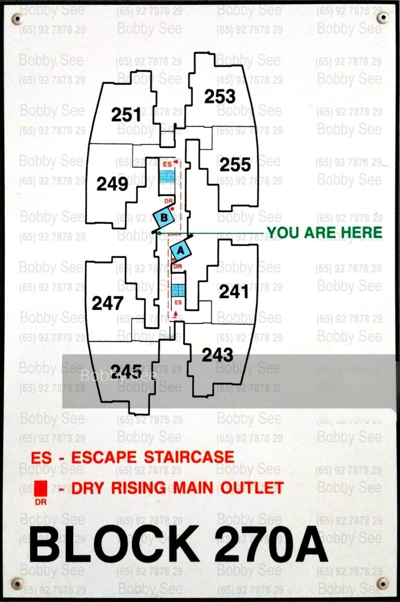 Blk 270A Sengkang Central (Sengkang), HDB 4 Rooms #124334412